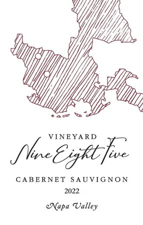 2022 Napa Valley Cabernet Sauvignon (750 ML)